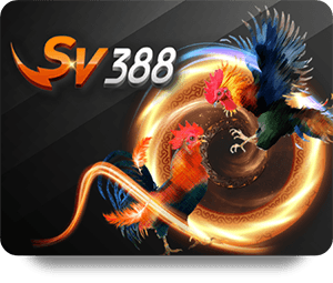 VNLOTO Xổ Số May Mắn – Hướng Dẫn Chi Tiết